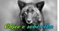 /album/podporujeme/stazeny-soubor-jpg/
